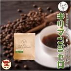 お試し 売切御免 コーヒー豆 粉 キリマンジャロ タンザニア aa 30g メール便 鳥見小太郎珈琲