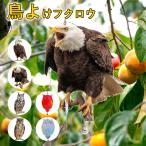  птица .. голубь ..kalas.. защита от птиц рефлектор . птица рефлектор птица .... оборудование фальшивый сова .. необычность . Medama ..... птица . меры защита от птиц защита от животных меры .. фруктовое дерево - to меры fn. предотвращение 