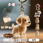 【1点最安745円・2点購入で】ペット 遺毛 ケース 透明 ペット 遺毛入れ 猫の毛収納ボトル 1/2個セット ペットメモリアルボトル 猫キーホルダー メモリアルグッズ