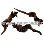 libela Mini дерево коряга 5 шт *ak.. отделка завершено примерно 5cm~18cm