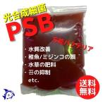 PSB 800ml 光合成細菌 土着菌 水質浄化 メダカ 針子の餌 自社培養 送料無料 ネコポス便 着日指定不可