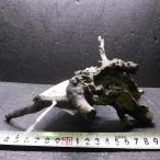  ветка коряга libela дерево roots S 1 пункт предмет No.136 натуральный Delphi sak вытащенный завершено RIVERA