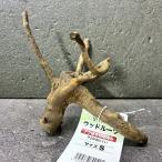  ветка коряга libela дерево roots S 1 пункт предмет No.250 натуральный Delphi sak вытащенный завершено RIVERA