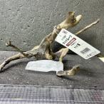  ветка коряга libela дерево roots S 1 пункт предмет No.252 натуральный Delphi sak вытащенный завершено RIVERA