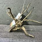  ветка коряга libela дерево roots S 1 пункт предмет No.258 натуральный Delphi sak вытащенный завершено RIVERA