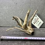  ветка коряга libela дерево roots S 1 пункт предмет No.260 натуральный Delphi sak вытащенный завершено RIVERA