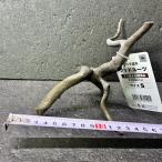  ветка коряга libela дерево roots S 1 пункт предмет No.276 натуральный Delphi sak вытащенный завершено RIVERA