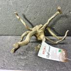  ветка коряга libela дерево roots S 1 пункт предмет No.280 натуральный Delphi sak вытащенный завершено RIVERA