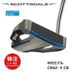 2025PINGSCOTTSDAL...