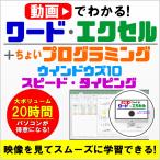 動画で分かるワード・エクセル + プログラミング入門　ウインドウズ10　タイピング練習　パソコン 入門 関数 数式 Windows10 Excel Word