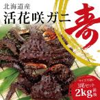 活カニ 花咲ガニ 北海道産 希少 カニ 花咲蟹 3尾2kgセット オス 濃厚な甘味 数量限定 活けカニ