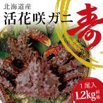 活カニ 花咲ガニ 北海道産 希少 カニ 花咲蟹 1.2kg オス 濃厚な甘味 数量限定 活けカニ