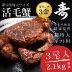 活き毛ガニ 北海道産 カニ 特大 700g前後 3尾 毛蟹 毛がに 姿 活茹で選択可