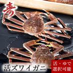 送料無料 活ズワイガニ 900g前後 冷蔵商品 活ずわいかに 刺身 鍋 生食できます 活茹で選択可