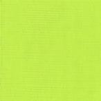  ho ru Bay nak Lyric гуашь 20ml D070 leaf зеленый 