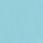  ho ru Bay nak Lyric гуашь 20ml D104 бледный aqua 