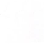  ho ru Bay nak Lyric гуашь 20ml D194 primary белый 