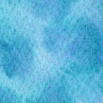  ho ru Bay n прозрачный акварель краситель glanyure-ting цвет z5ml WG532 нефрит kazla