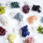  материалы для цветочной композиции .... небольшое количество .1.5g гербарий консервированный цветок материалы для цветочной композиции hk124