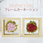 母の日 カーネーション フレームアレンジ 送料無料『フレームカーネ』