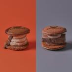  шоко сырой .. еда . сравнение 2 вид 12 шт ( шоколад Terry n6 шт * Париж Париж шоколад 6 шт )