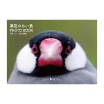 【ことりカフェ】裏庭はわい島　PHOTO BOOK　◆クリックポスト対応◆　文鳥　桜文鳥　村松奈緒美