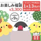 ★予約品 【2023年◆新春お楽しみ福袋】　3,300円　★1/13〜発送★ 数量限定　福袋　happybag　訳あり 訳有り 在庫処分