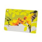 パスケースコガネメキシコインコゆう...