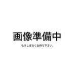 【保証付】【国内正規品】SALONIA サロニア シャワーヘッド ファインバブルクリア ホワイト SAL23303WS