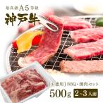 【アウトレット】A5等級 神戸牛 BBQ（バーベキュー）・焼肉 セット 神戸牛赤身・ロース・カルビ 500g