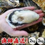 ショッピング牡蠣 牡蠣 殻付き 生牡蠣 特大 加熱用 3kg 2kg 室津 直送 朝取れ かき カキ