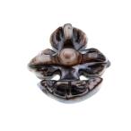 天眼石錨イカリアンカー彫りペンダントトップペンダント天眼石ペンダント彫刻品...