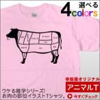 おもしろtシャツ ウケる!「牛肉部位イラスト」Tシャツ(半袖)お肉の部位シリーズ AM62