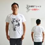  futoshi высшее ./ futoshi высшее . футболка /.. футболка / футболка / короткий рукав /../ кунгфу / цигун futoshi высшее . футболка ~ futoshi высшее бамбук ~ XXXL