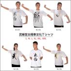 (太極拳)カッコイイ中国武術デザインＴシャツ！練習には武術らしい動きやすいTシャツが一番！太極拳論文化Ｔシャツ 武縁堂太極拳文化Ｔシャツ