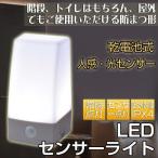 LEDセンサーライト 昼白色 おしゃれ 光センサー付き クローゼット ナイトライト led 電池式 人感センサー 防水 自動点灯 オーム電機