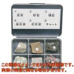 岩石標本(岩石標本堆積岩6種)【3-657-02】【アズワン】