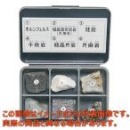 岩石標本(岩石標本変成岩6種)【3-657-03】【アズワン】