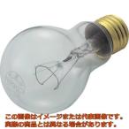 ＴＲＵＳＣＯ　耐震球　１００Ｗ