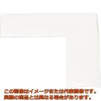 ＩＷＡＴＡ　ラインプロＬタイプ（白）２枚入り
