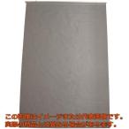 【代引不可・配送日時指定不可】アサヒ　ＡＳシルバーシェード　すだれ　９００×１３５０