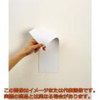 マグエックス　マグネット両面カラーシート白白