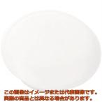 ＴＲＵＳＣＯ　カラーマグネット（５個入）　白　３０パイ