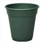  Apple одежда -ro там pot 240 дребезжание зеленый 