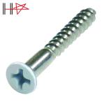 ダイドーハント ネジカラー ステンレス 木ねじ 皿頭 2.4x16白 (16本) (1Pk) 10179100