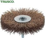 トラスコ　軸付ホイールブラシ　φ１００Ｘ軸６　真鍮メッキ鋼線　線径０．２５　（1個）　品番：TB-6251