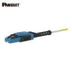  хлеб do wit PANDUIT F92RPU1U1ONM001 Opti-Core[[TM сверху ]]LC Uniboot волокно patch код низкий потеря модель OS2 обе край UPC полировка огнестойкость : pre nam желтый 1M ( 1 шт. )