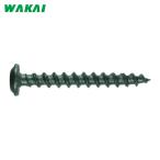 WAKAI 若井産業 ALC用アンカー VPグッとビス シンワッシャー GW575 (1Pk) GW575