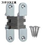 スガツネ工業 LAMP R-100 (170095201)R-100ルーター用隠し蝶番 (1個)