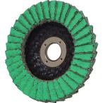 AC イチグチ テクノディスクZ 58X10 ＃